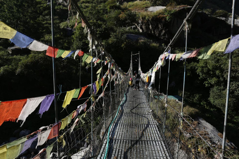 Journey Through Langtang: A 6-Day Trek with Meals