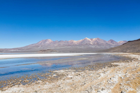 Giornata intera | Laguna di Salinas | Arequipa