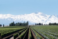 Daytour a las bodegas de Mendoza - Housity