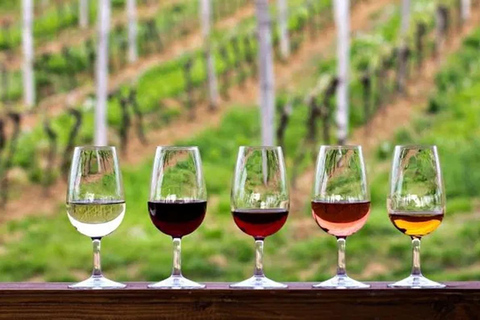 Cappadocia : Wine Tasting Experience with Local Wines Cappadocia Cave Wine Tasting Experience with Local Wines