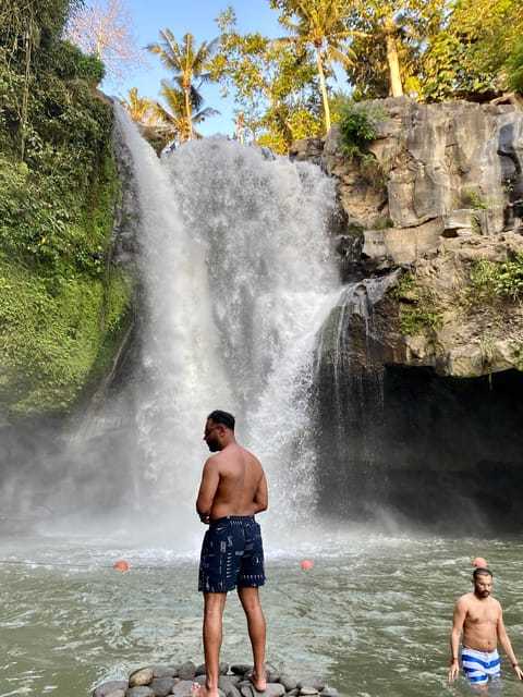 Ubud Rijstterras Waterval En Tempel Rondleiding Bali Getyourguide