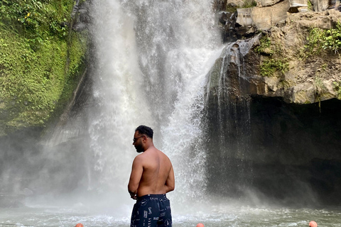 Ubud rice terrace, waterfall, and temple guided trip Bali