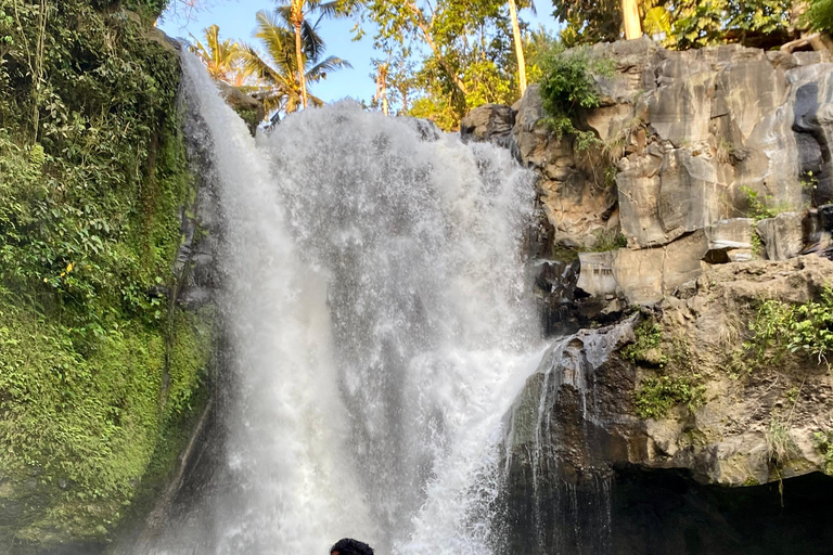 Ubud rice terrace, waterfall, and temple guided trip Bali