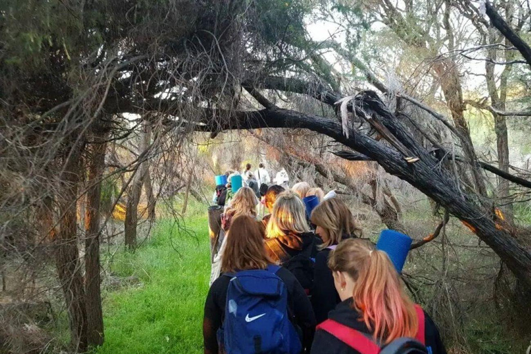 Erskine: Sunrise Yoga Hike with Morning Tea