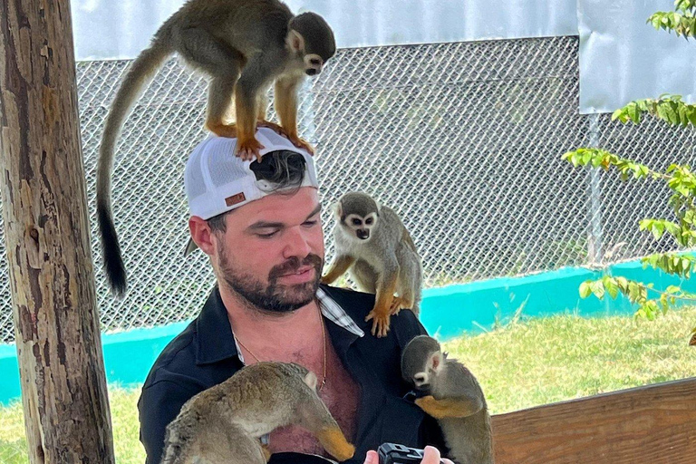 Puerto Plata: Saimiri Monkey Sanctuary, Exotic Flora, and Tropical Oasis