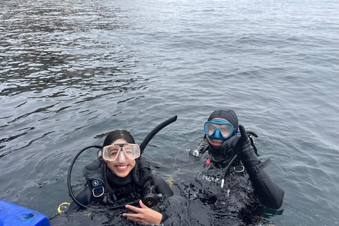 Lima : Découverte de la plongée sous-marine - Première expérience