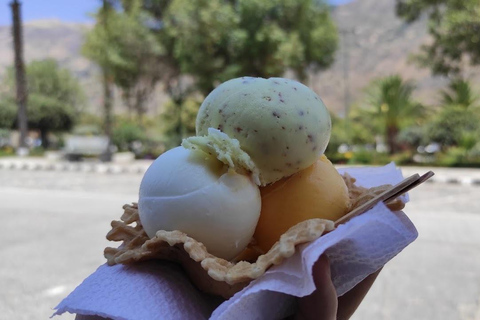 Huaraz: Heldag Laguna Llanganuco + Yungay + Carhuaz