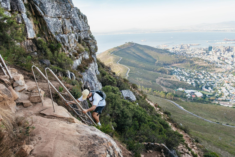 Cape Town: Lion's Head Sunrise or Sunset Hike