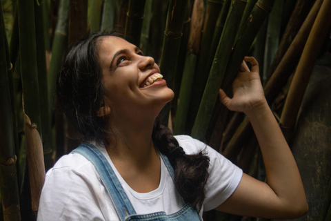 Paraty: Immersive Photoshoot with Local Photographer
