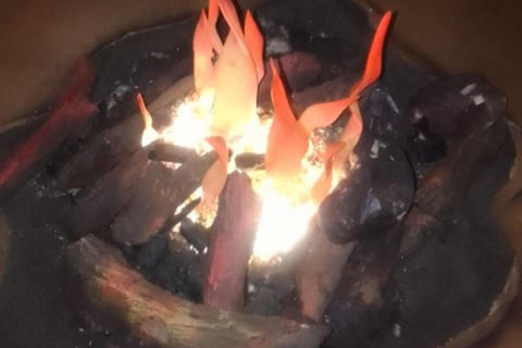 Johannesburg: Cradle of Humankind, Lion Park & Lesedi Tour