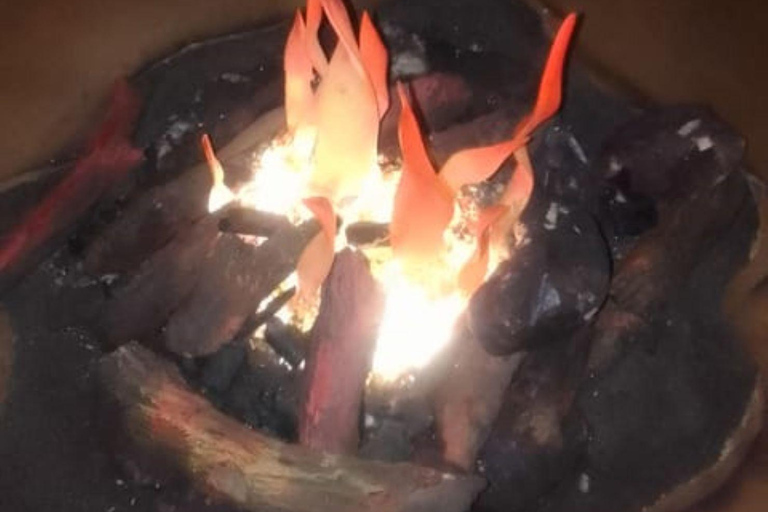 Johannesburg: Cradle of Humankind, Lion Park & Lesedi Tour