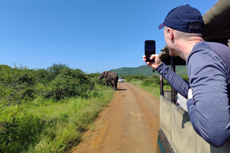 From St Lucia: Hluhluwe-Imfolozi Big 5 Park Exclusive Safari