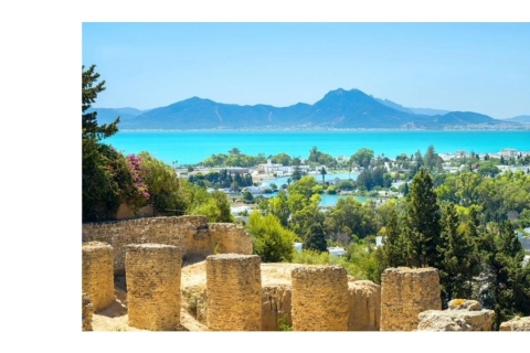 Autoguided Tour : Tunis, Carthage and Sidi Bousaid Tunis, Carthage & Sidi Bousaid Tour From Hammamet