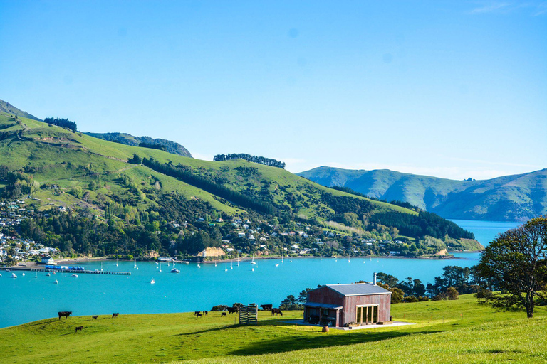 Visite d'une journée privée de Christchurch à AkaroaChristchurch to Akaroa Private Day Tour