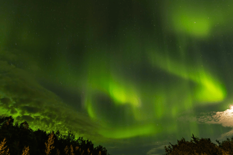 Fairbanks : 6 jours d&#039;observation des aurores boréales