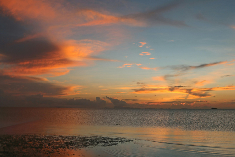 Phi Phi: Full Day by Longtail Boat with Sunset and Plankton