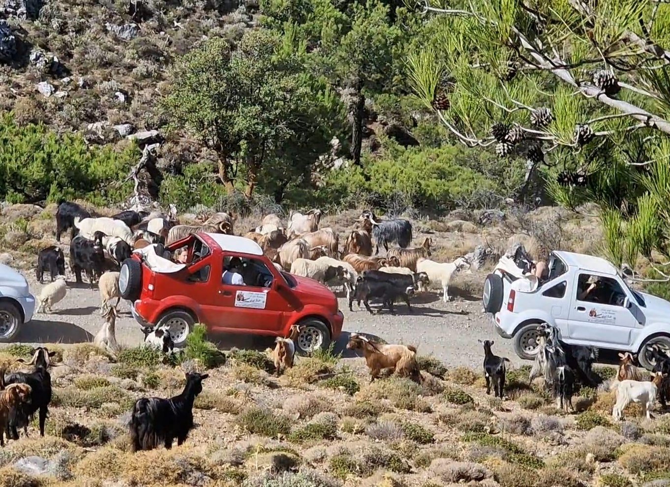 Jeep-køretur til Thripti-bjergene og typiske landsbyer