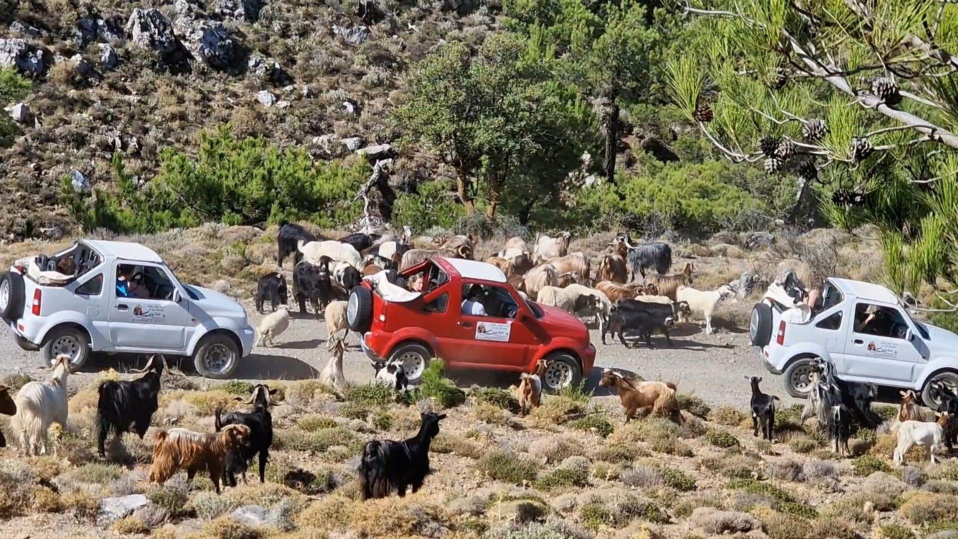Ostkreta: Tripti-Gebirge und kleine Dörfer im offenen Jeep