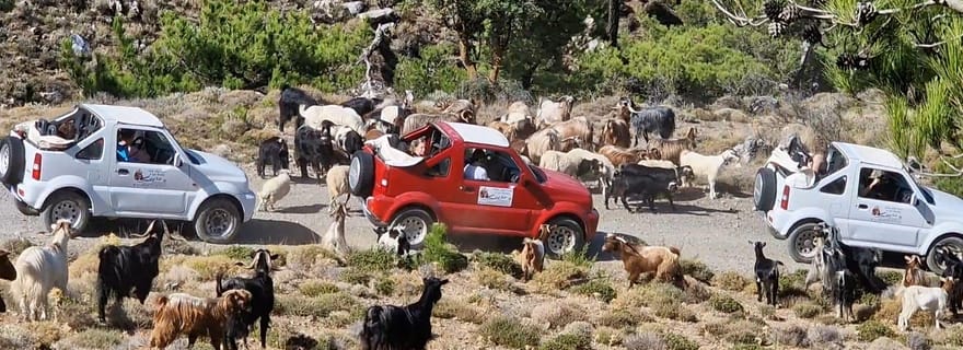 Agios Nikolaos : Excursion en Jeep dans les Villages de la Montagne Thripti avec Déjeuner