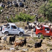 Jeep Driving Tour to Thripti Mountains and Typical Villages
