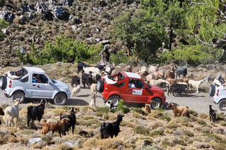 Thripti Mountains: Day Trips and Tours from Agios Nikolaos