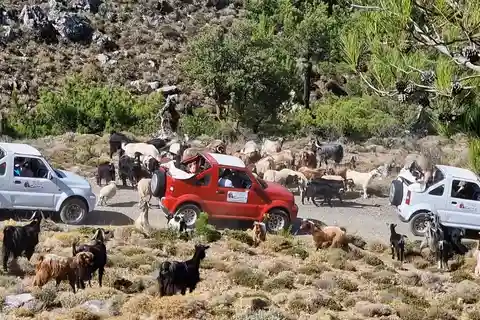 Jeep Driving Tour to Thripti Mountains and typical villages