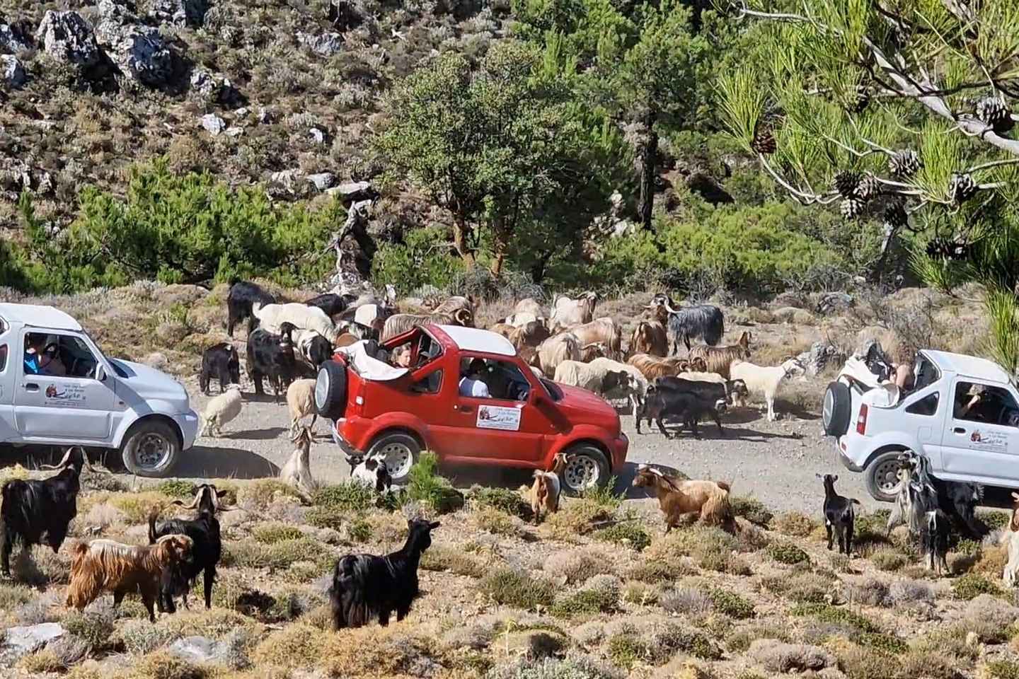 「スリプティ山脈と小村を巡るジープでの旅」