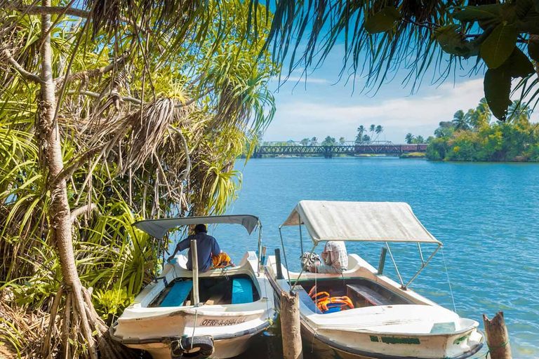 Sri Lanka: 9-Day Honeymoon Tour with Accommodation