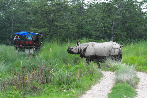 Chitwan National Park Tours: 3 Nights 4 days Full Package