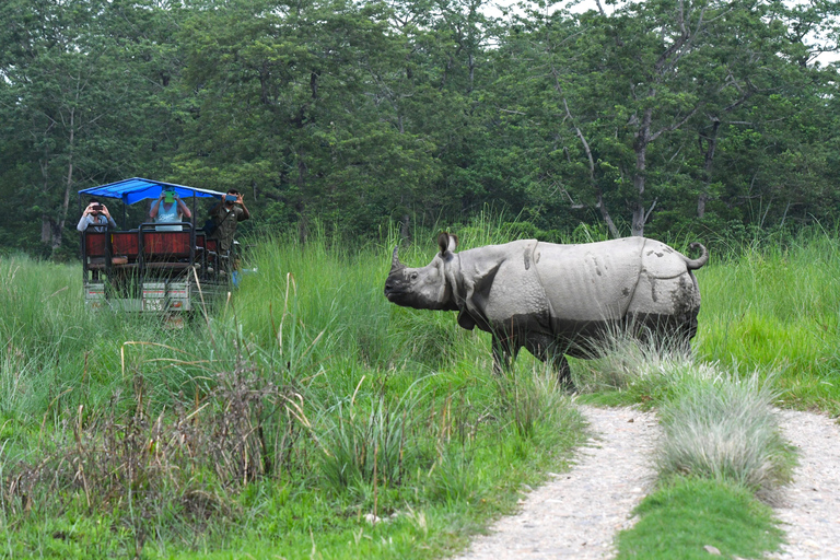 Chitwan National Park Tours: 3 Nights 4 days Full Package