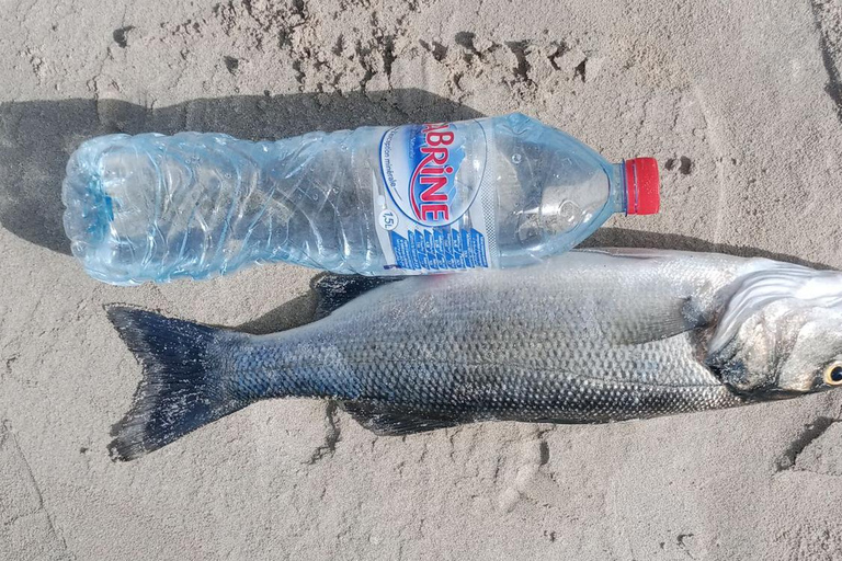 Djerba: Half-Day Fishing Trip with Hotel Transfers