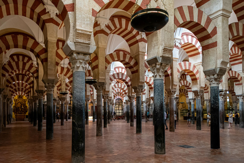 From Seville: 2-Day Trip to Cordoba with Mosque-CathedralHotel Don Paco meeting point - 8:50 am