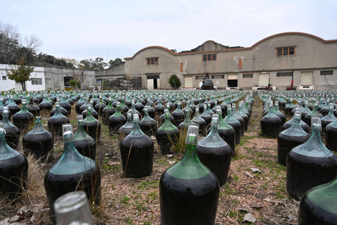 Bodega Santa Rosa: home to the largest underground cellar in South America Bodega Santa Rosa: home to the largest underground wine cellar in South America