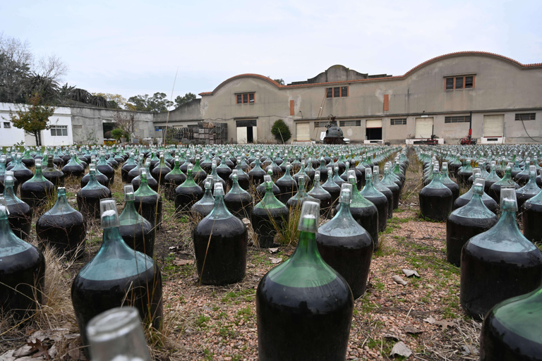 Bodega Santa Rosa: home to the largest underground cellar in South America Bodega Santa Rosa: home to the largest underground wine cellar in South America