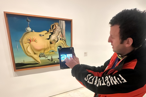 Madrid: Picasso Experience Reina Sofía Museum Guided Tour English Tour