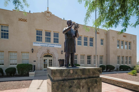 Downtown Phoenix History & Highlights Van Tour - 11am-2pm