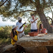 From Nice: Provence Wine Full-Day Tour