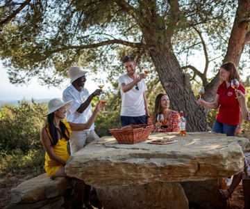 From Nice: Provence Wine Full-Day Tour