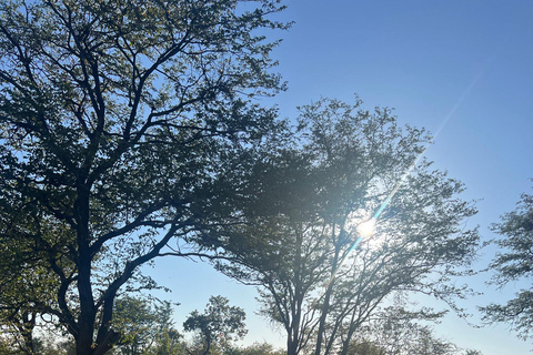 Victoria Falls: African Village Community Tour on Horseback