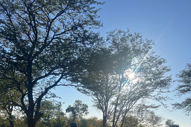 Victoria Falls: African Village Community Tour on Horseback