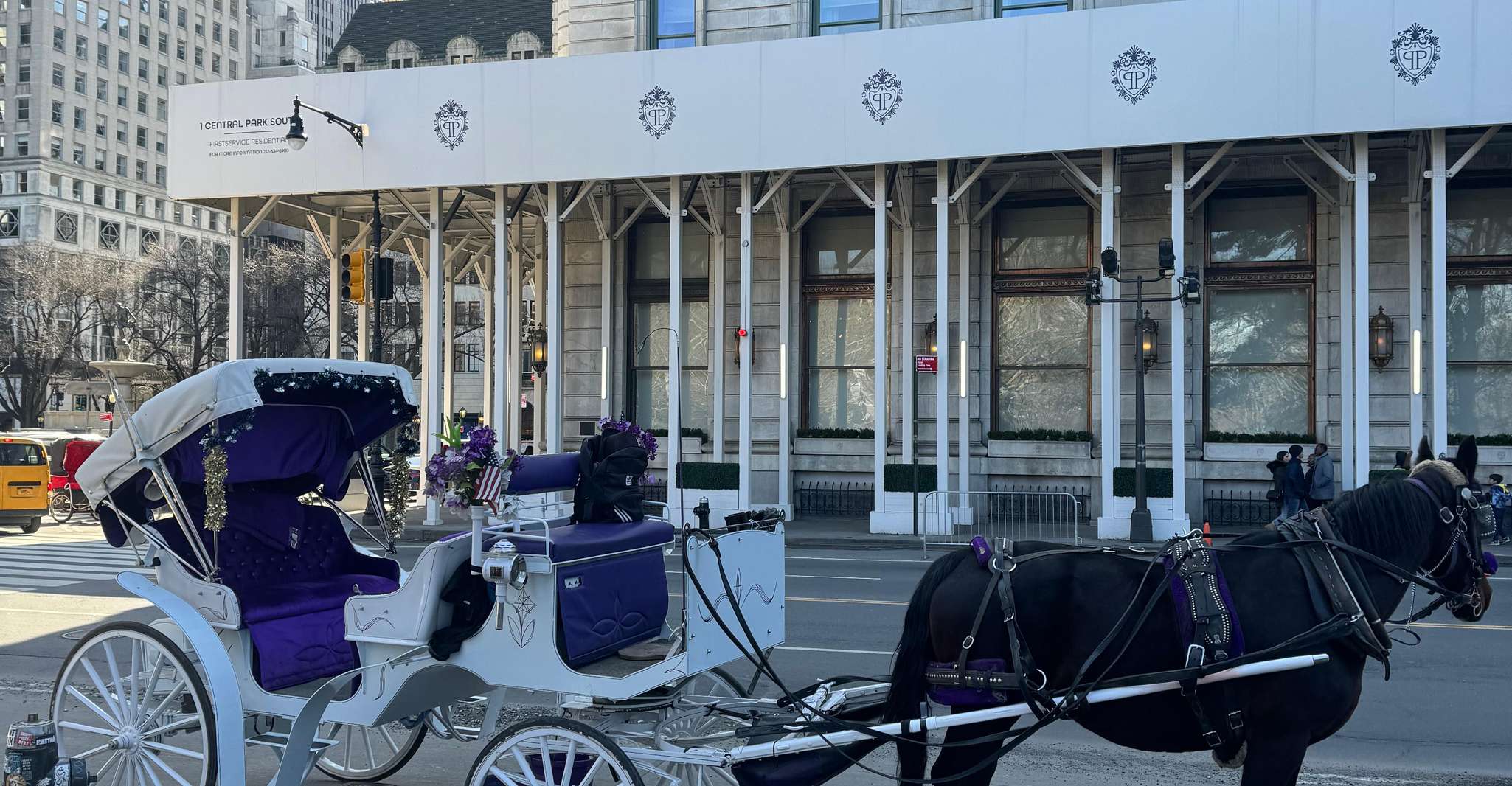 NYC, Private Central Park Horse Carriage Ride with Guide - Housity