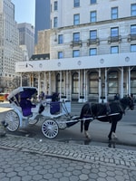 NYC, viaje privado de carruaje de caballos de Central Park con guía - Housity