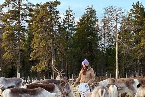 Levi Wilderness Twilight Adventure