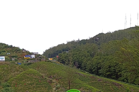 Kandy: Tea estate Factory & Waterfalls, Ambuluwawa tour