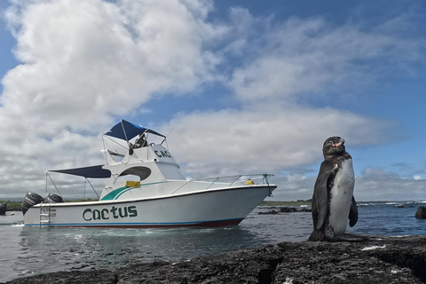 Explora Túneles Cabo Rosa en Isabela: Hele dag snorkelen