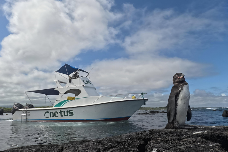 Explora Túneles Cabo Rosa en Isabela: Hele dag snorkelen