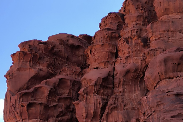 WADI RUM: TOUR DE MEDIO DÍA EN JEEP por la mañana o al atardecerTOUR DE MEDIO DÍA EN JEEP con almuerzo