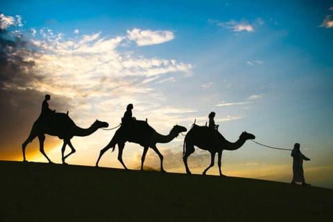 الدوحة: رحلة سفاري في الصحراء مع ركوب الكثبان الرملية وركوب الجمال