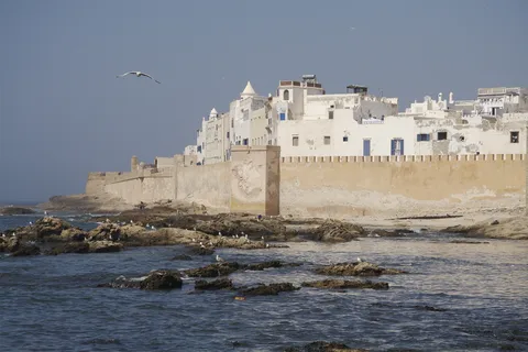Din Marrakesh: Excursie de o zi întreagă în Essaouira