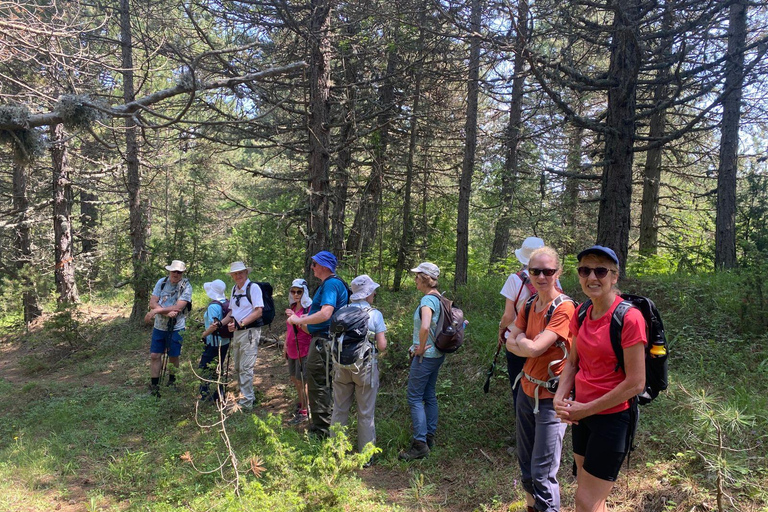Tour of Korça & The Hidden Gems of Albania, 5 days